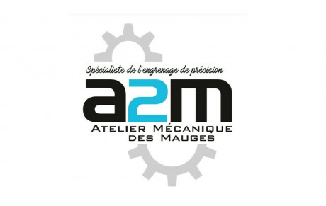 A 2 M